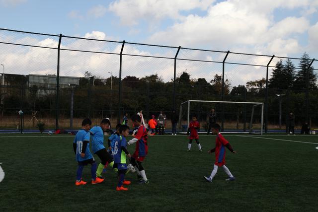 唐斯27+13尼克斯擒猛龙止3连败 步行者胜公牛